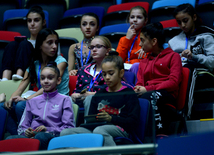 Bədii gimnastika üzrə 22-ci Azərbaycan Birinciliyi və Bölgələrarası Kubok yarışları davam edir. Bakı, Azərbaycan, 18 dekabr 2015